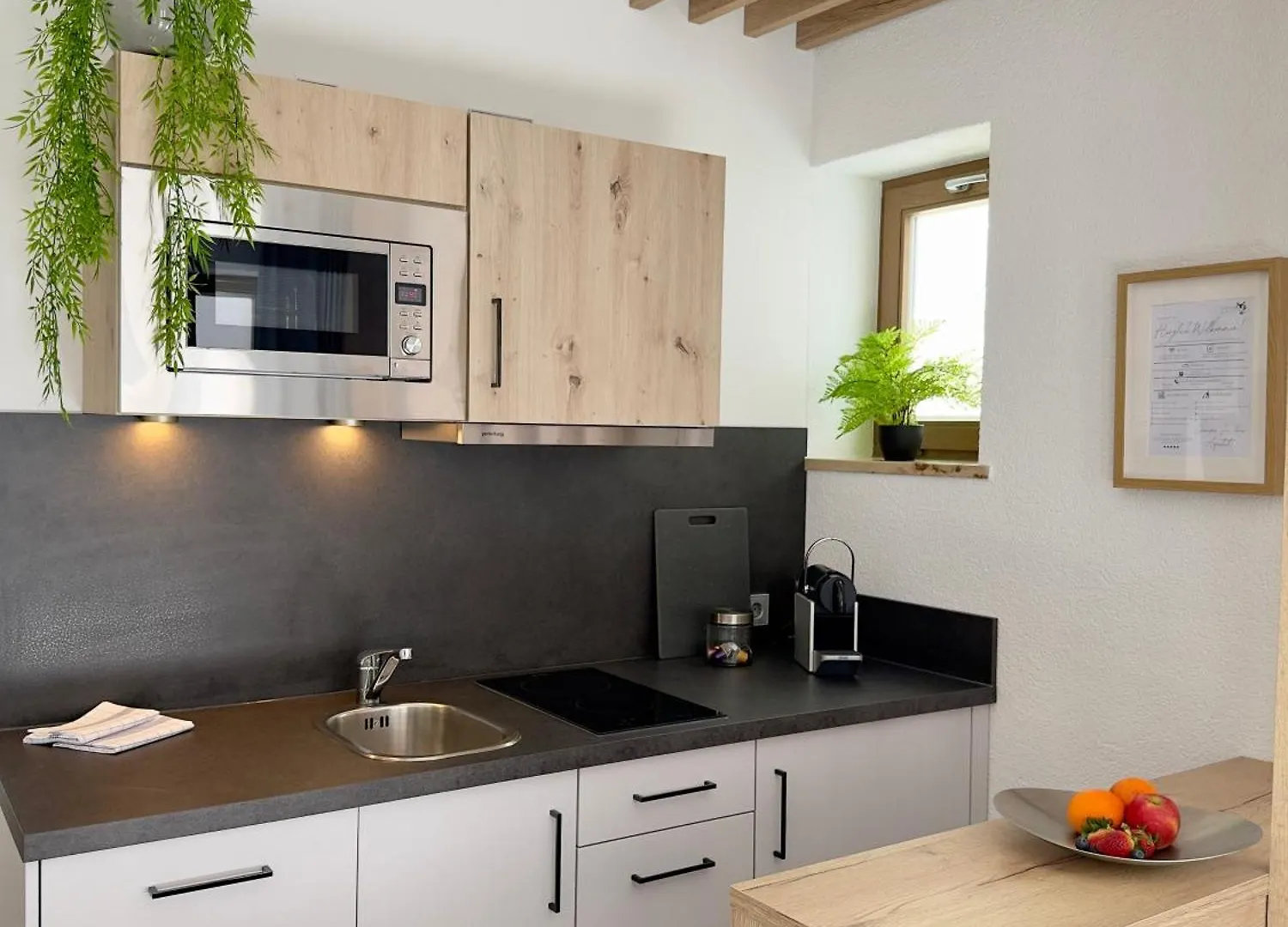 Living & Serviced Apartments By Blauer Wolf Gunzenhausen
